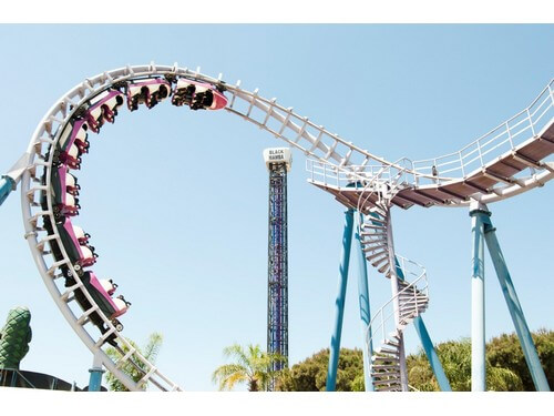 תמונה של לקטנטנים