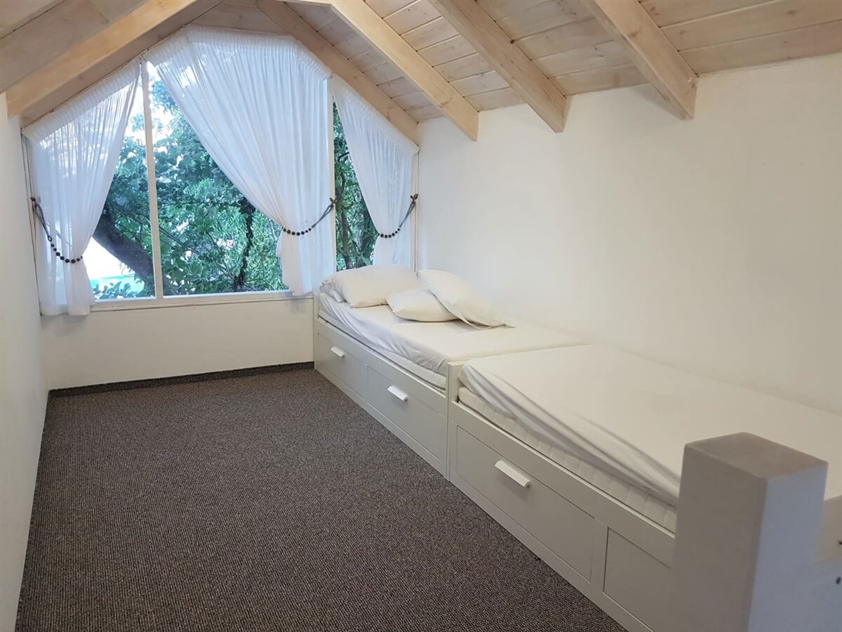 תמונה של עץ התות - 2