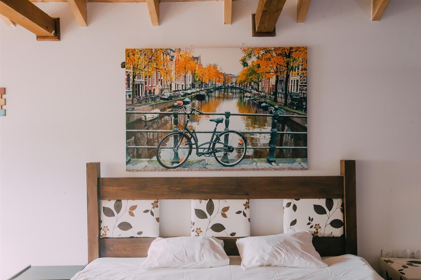 תמונה של כוכב 6 - 3