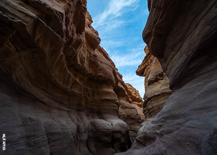 תמונה של סיורי יום