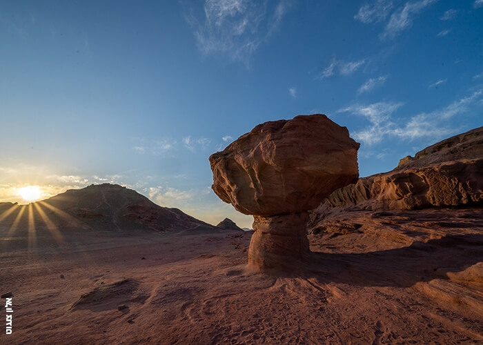 תמונה של סיורי יום