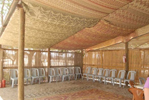 תמונה של פעילויות ופינות חי