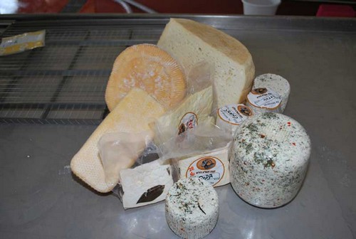 תמונה של פעילויות ופינות חי