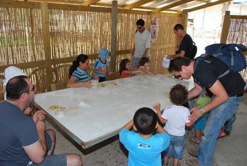 תמונה של פעילויות ופינות חי