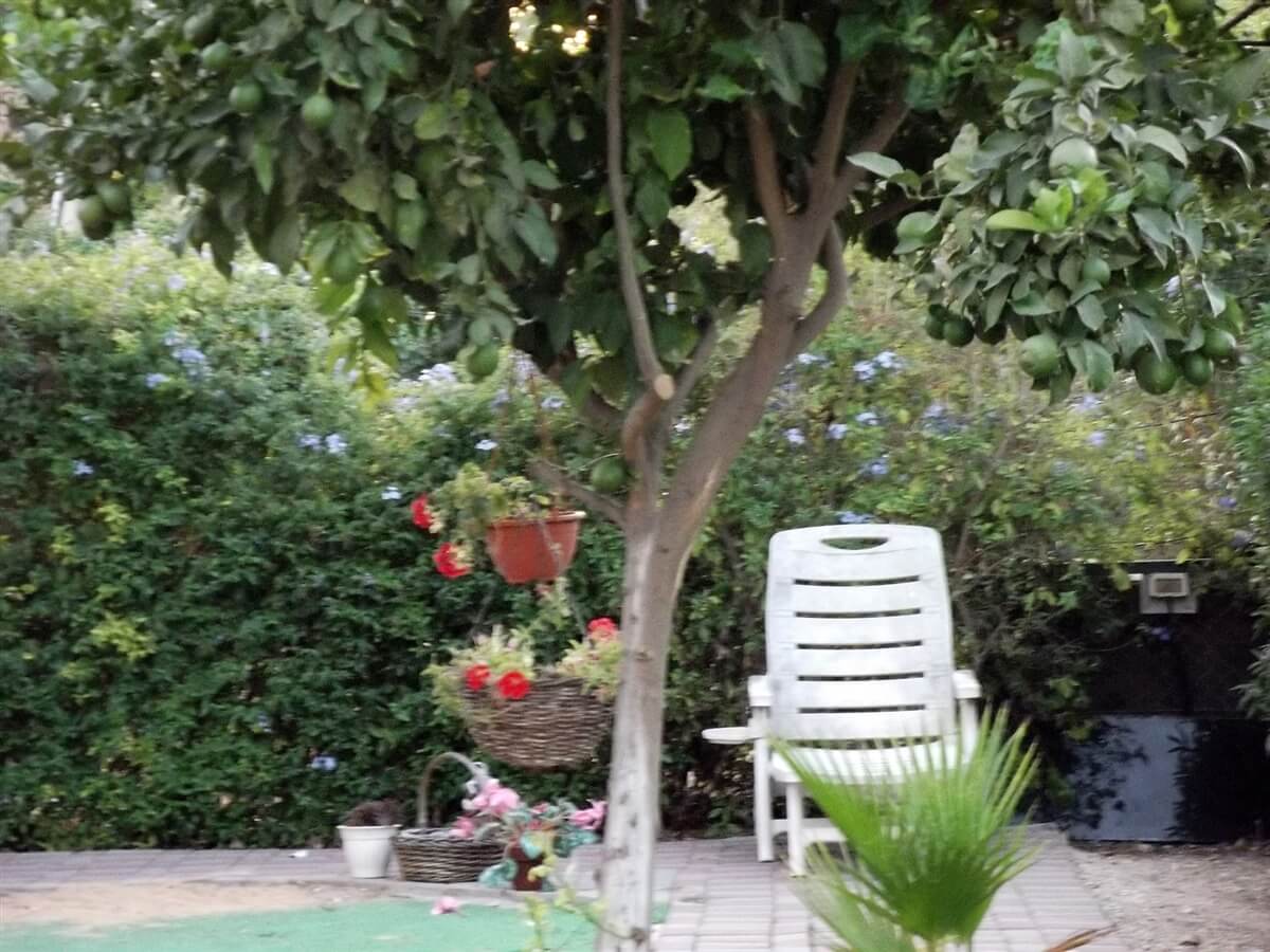 תמונה של פינת השלווה - 11