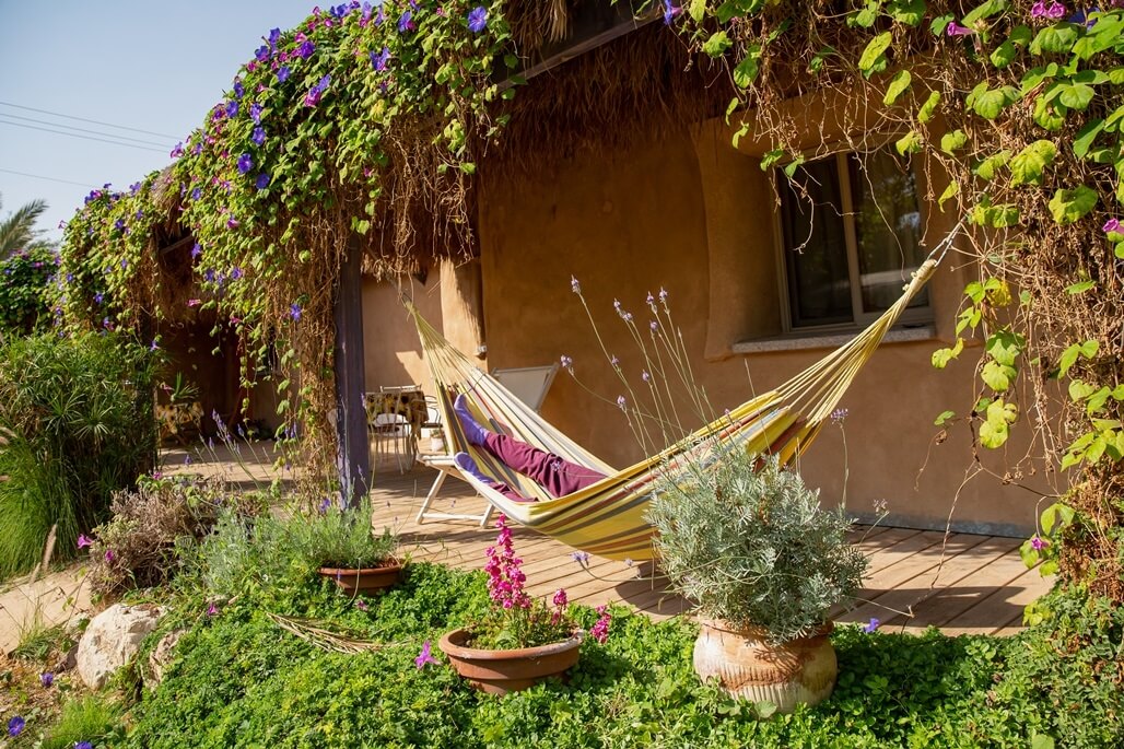 תמונה של ורדית - 12