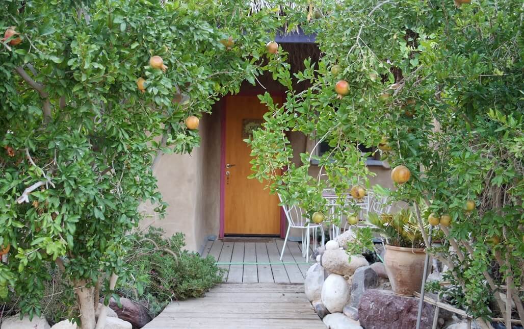 תמונה של עשת - 7