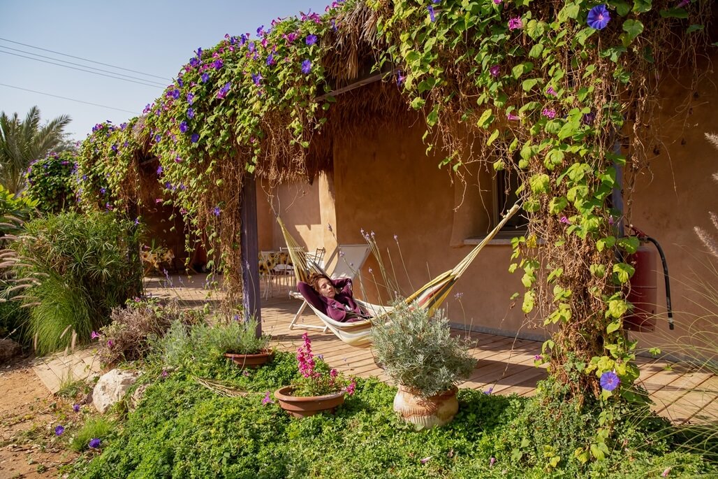 תמונה של ורדית - 9