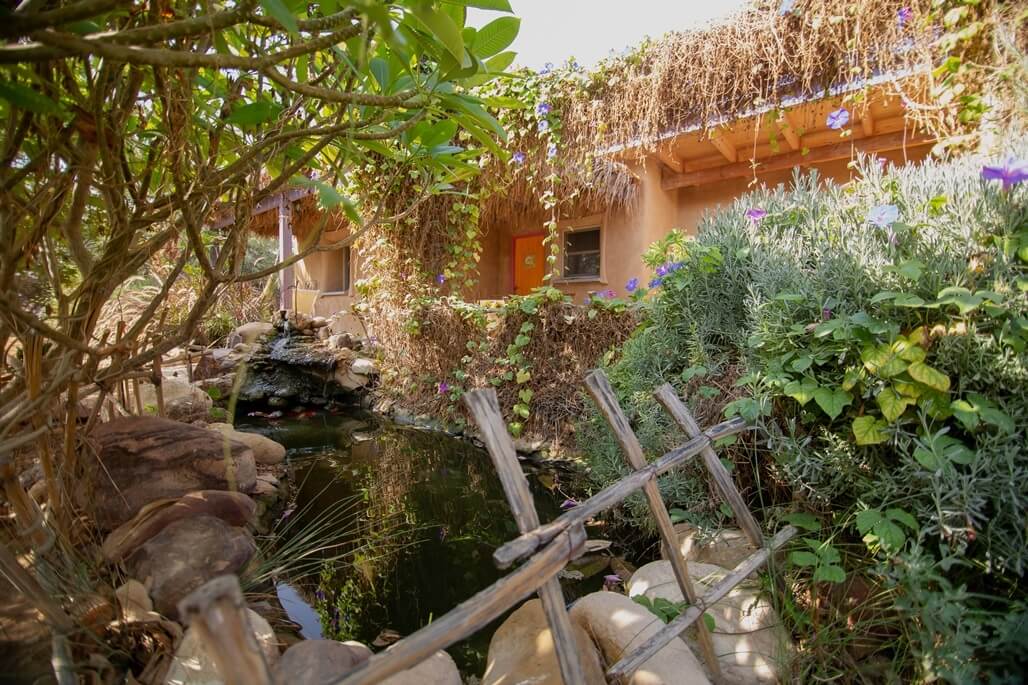 תמונה של ורדית - 10