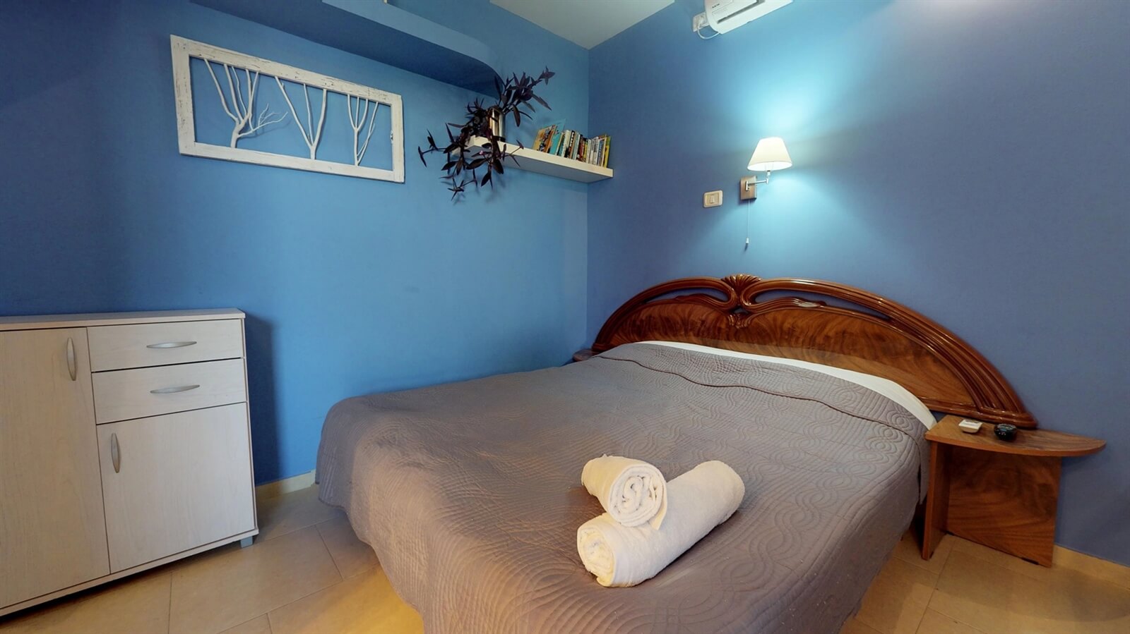 תמונה של יחידת אקליפטוס - 6