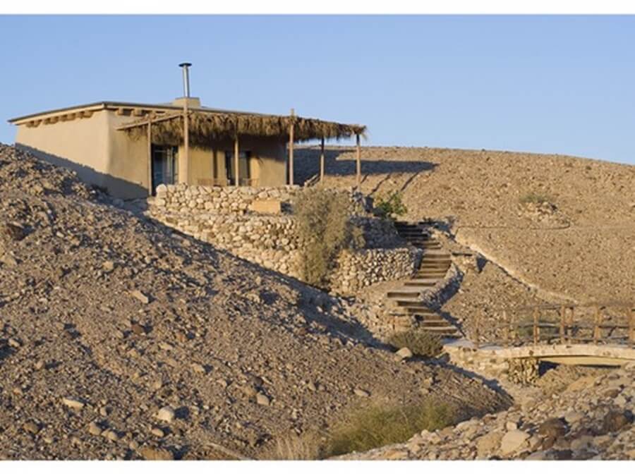 תמונה של זוגן / טטיס - 7