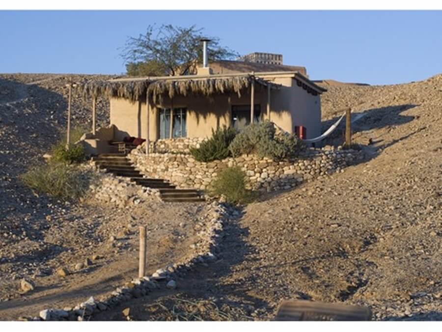 תמונה של זוגן / טטיס - 5