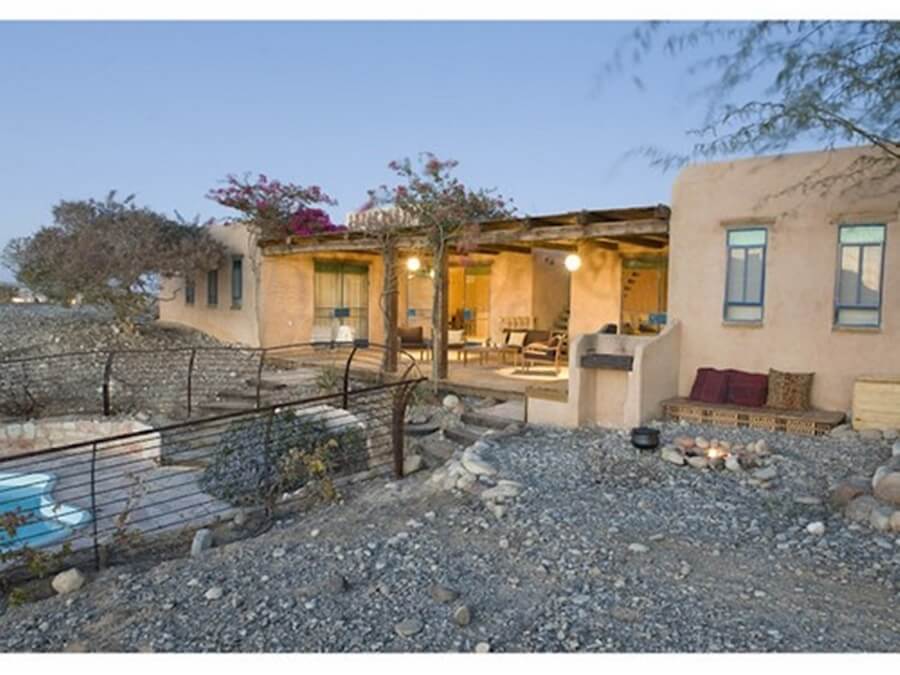 תמונה של מור / לבונה - 2