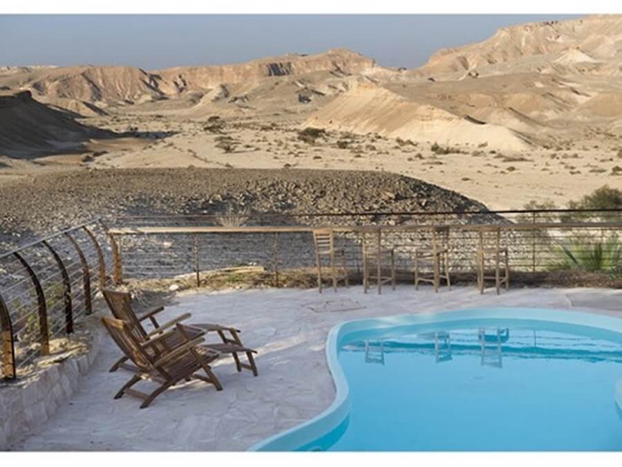 תמונה של מור / לבונה - 3