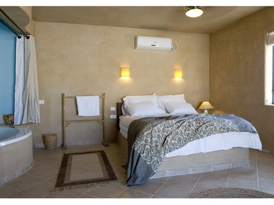 תמונה של שיזף - 2