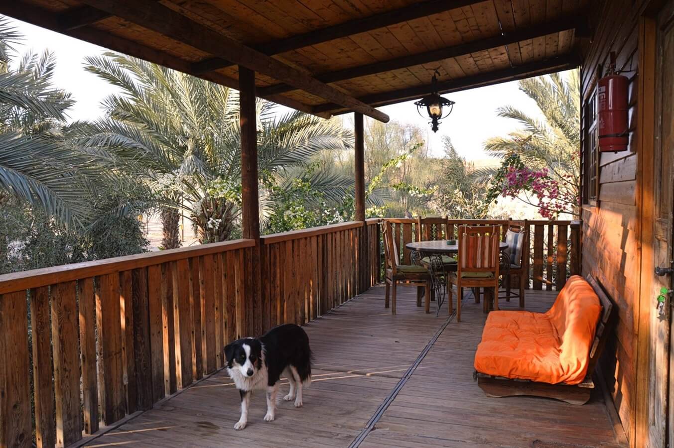 תמונה של הבקתה האותנטית - 6