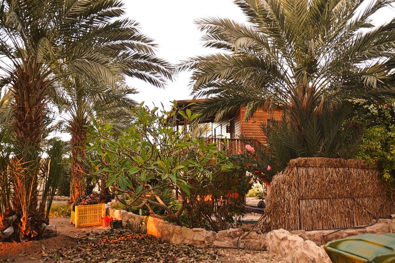 תמונה של הבקתה האותנטית - 7