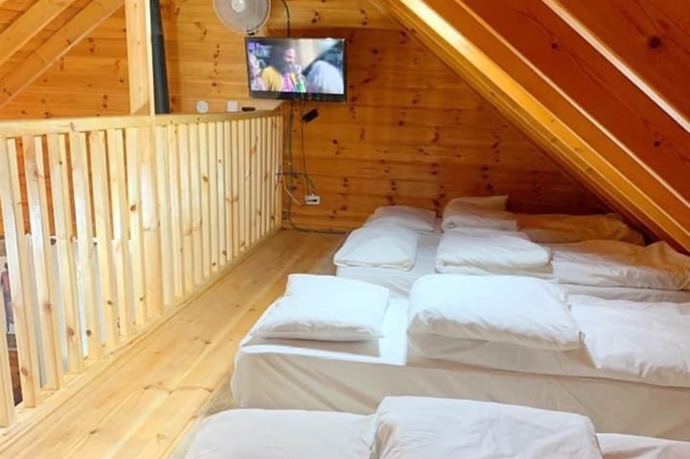 תמונה של הסוויטה הכתומה - 8