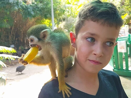תמונה של אירועים וקבוצות תמונה של אירועים וקבוצות
