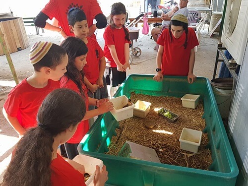 תמונה של אירועים וקבוצות תמונה של אירועים וקבוצות