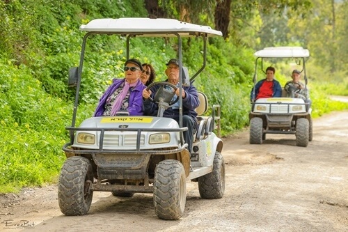 תמונה שצולמה בג'ונגל כיף - 2 תמונה של ג'ונגל כיף - 2