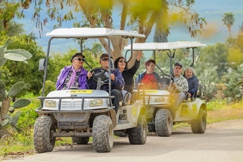 תמונה שצולמה בג'ונגל כיף - 4 תמונה של ג'ונגל כיף - 4