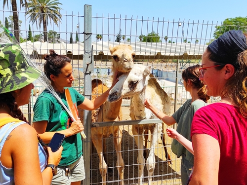 תמונה של אירועים וקבוצות תמונה של אירועים וקבוצות