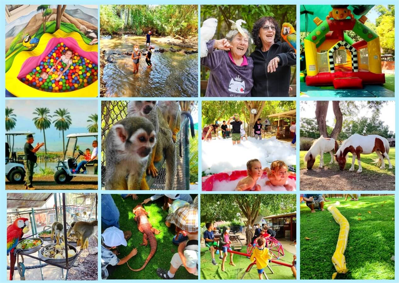 תמונה שצולמה בג'ונגל כיף - 1 תמונה של ג'ונגל כיף - 1