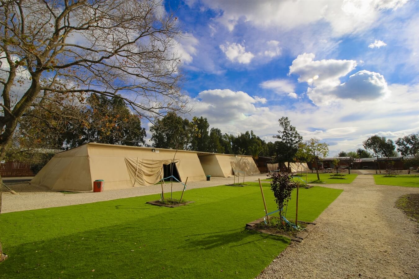 תמונה של אוהלי רועים - 2 תמונה של אוהלי רועים - 2