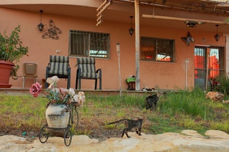 תמונה של דירת שלווה - 6