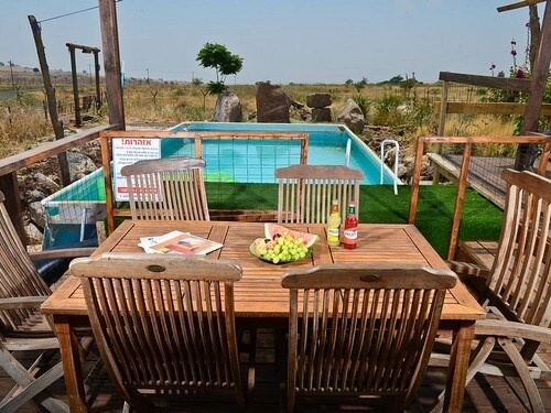 תמונה שצולמה בשני שבלולים - 1 תמונה של שני שבלולים - 1