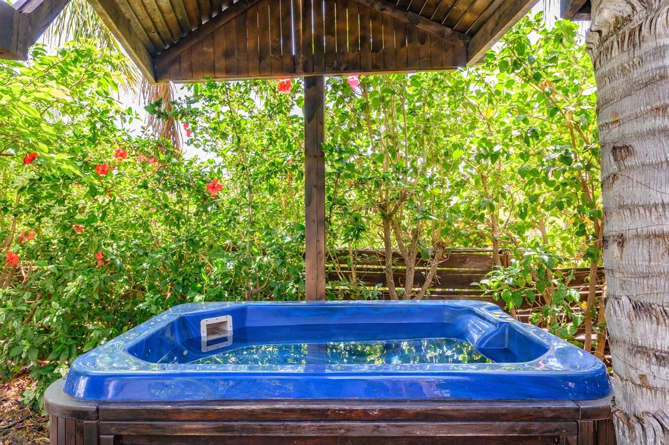 תמונה של סוויטת גל - 15