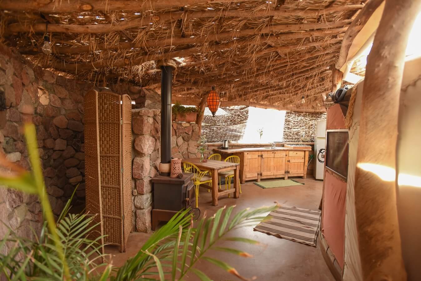 תמונה של יורט - 4