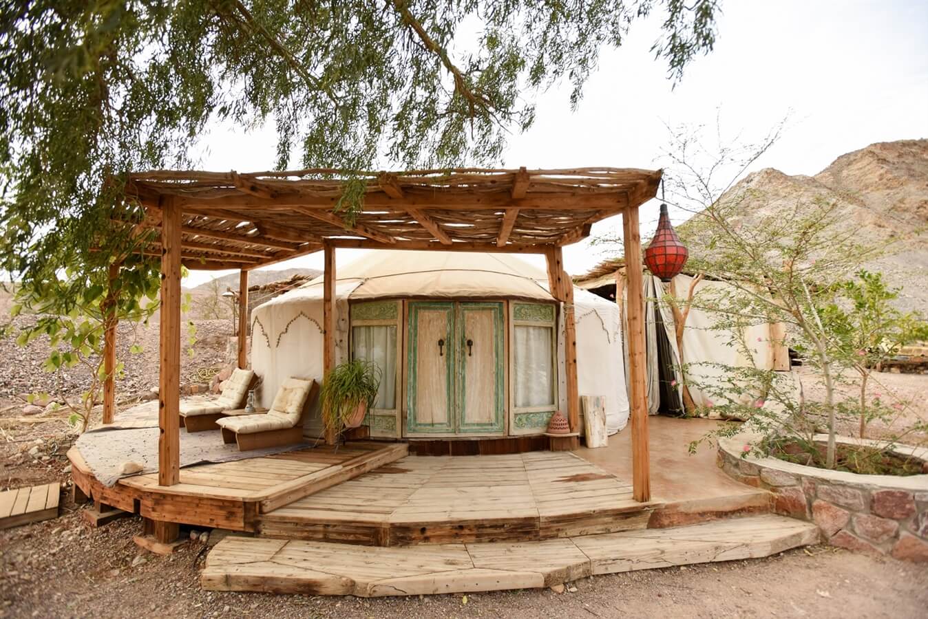 תמונה של יורט - 5