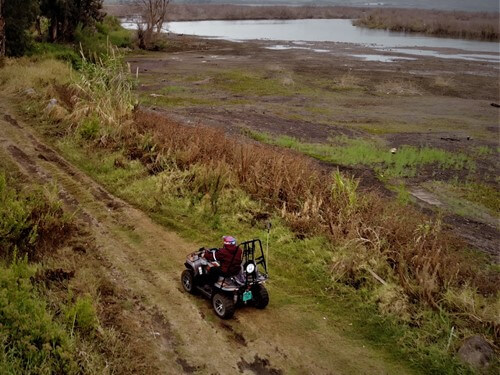 תמונה של רייזרים תמונה של רייזרים