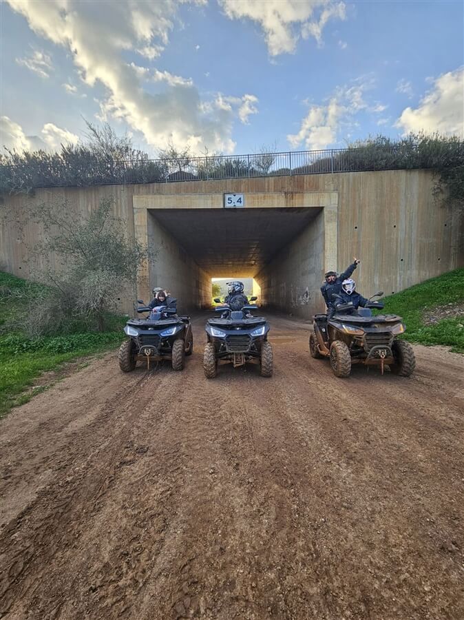 תמונה של רייזרים תמונה של רייזרים
