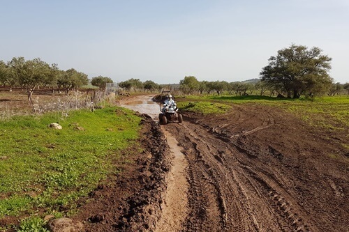 תמונה של רייזרים תמונה של רייזרים