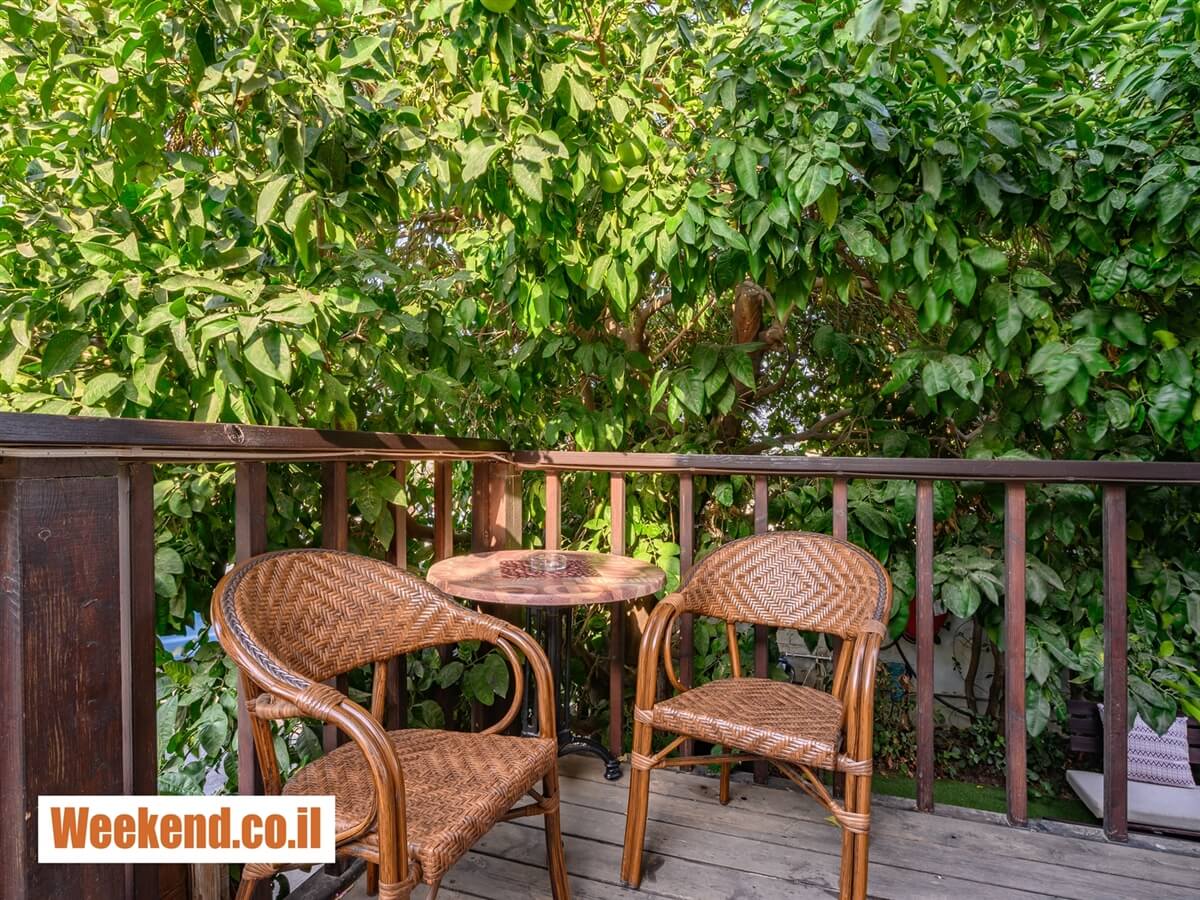 תמונה של הברון רוטשילד - 11