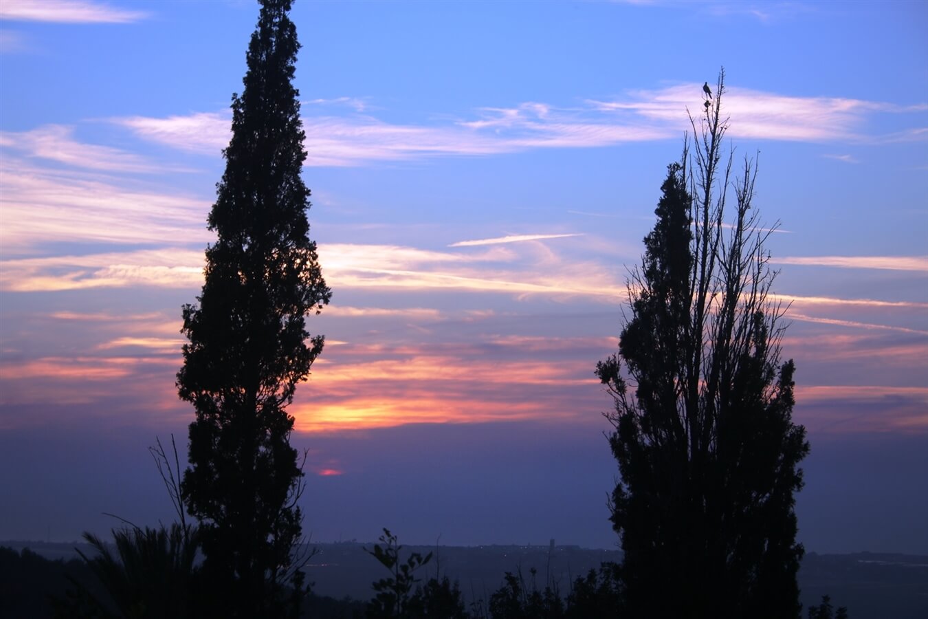 תמונה של נוף ים - 6