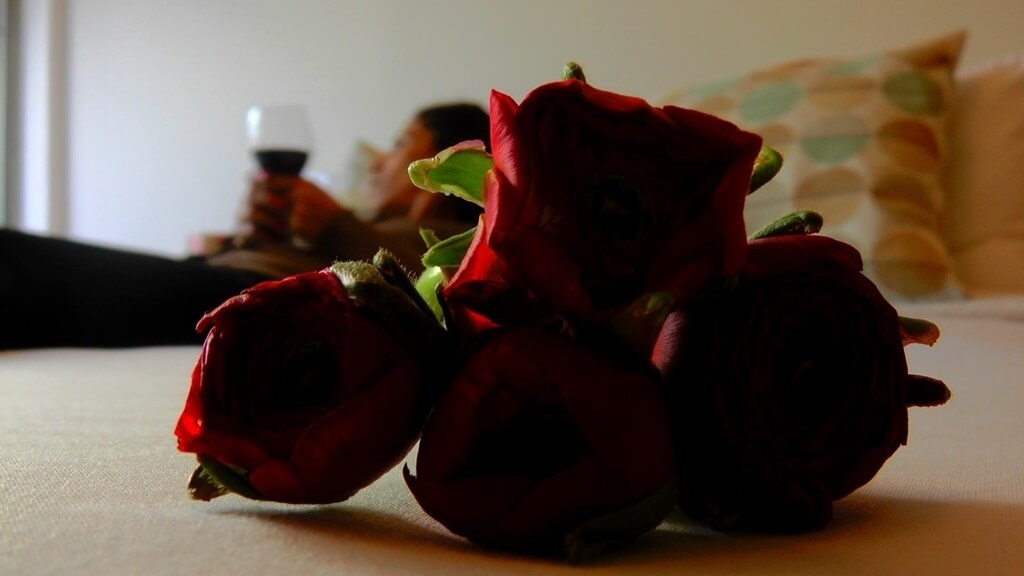 תמונה של דירת הנופש - 2