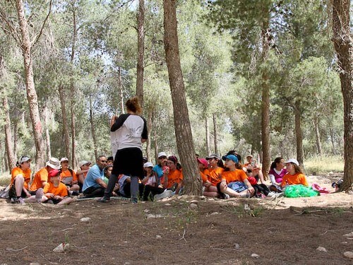 תמונה שצולמה במרכז ג'ו אלון - 3 תמונה של מרכז ג'ו אלון - 3