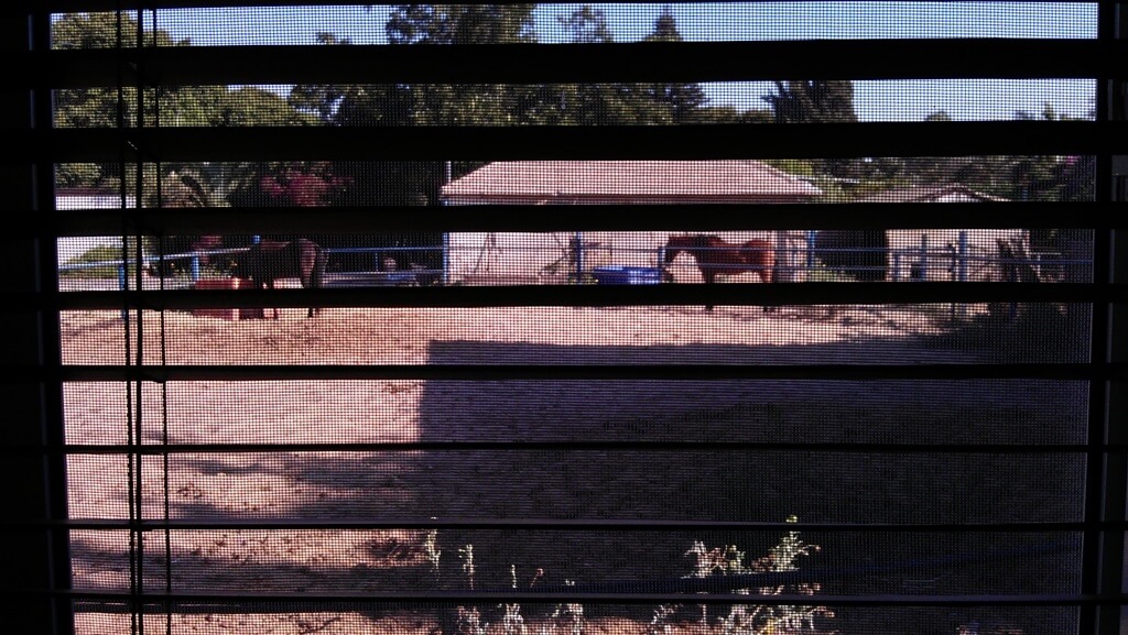 תמונה של צימר ויתקין ספא - 3