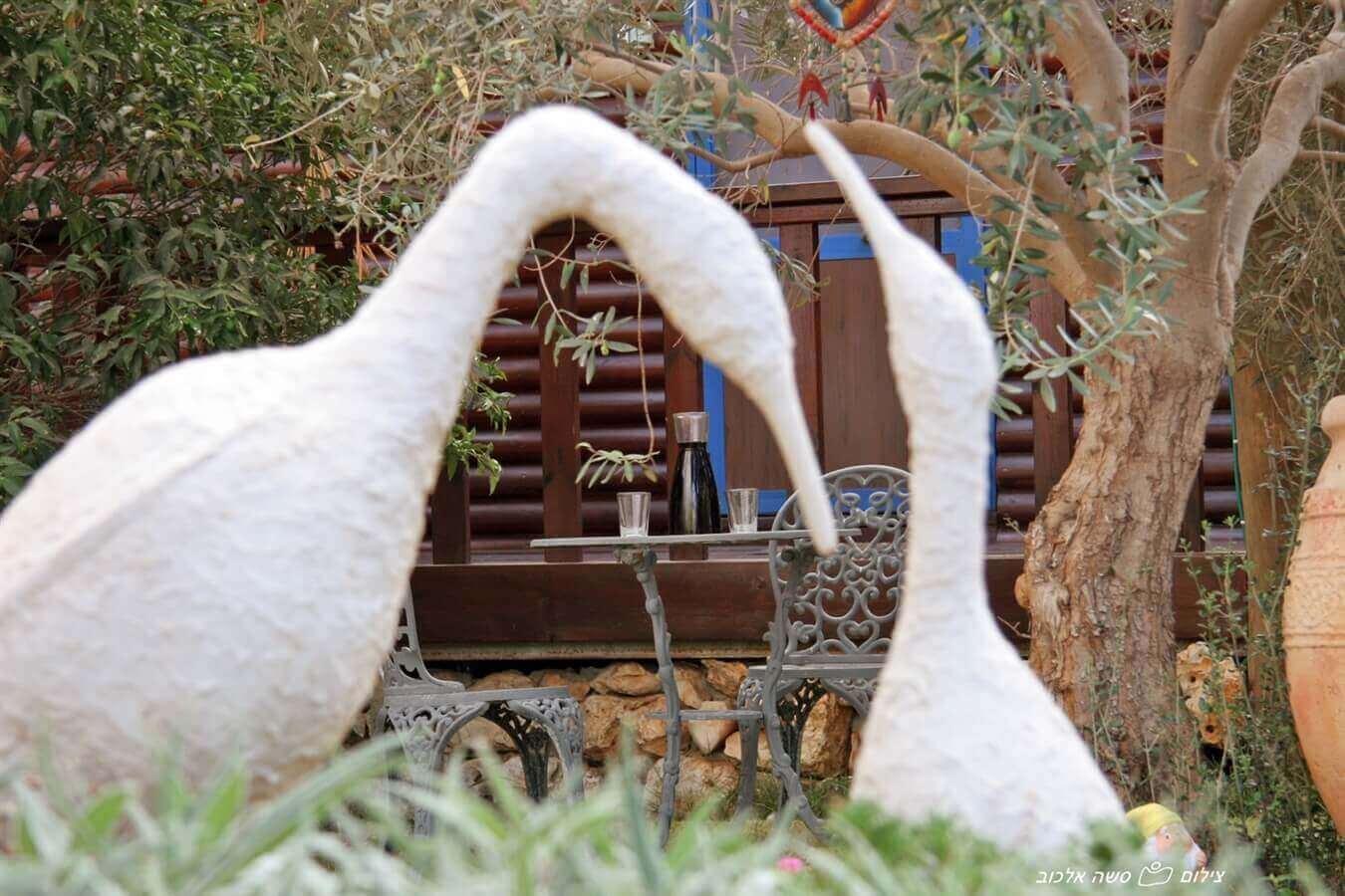 תמונה של הצימר - 6