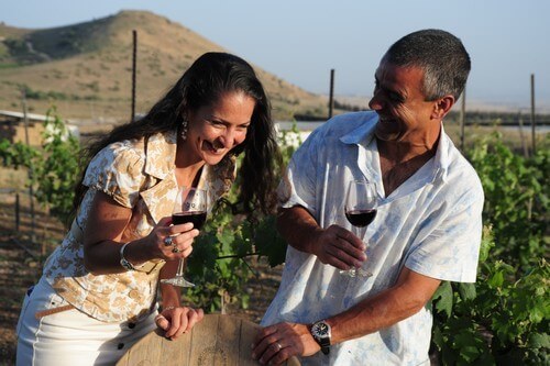 תמונה של היינות