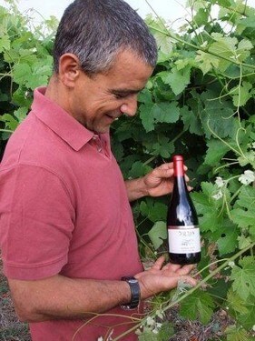 תמונה של היינות