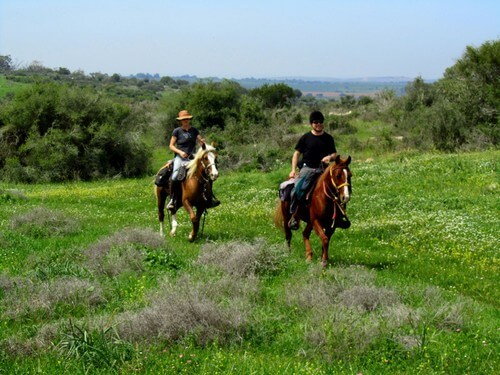 תמונה של אודות חוות בית ניר