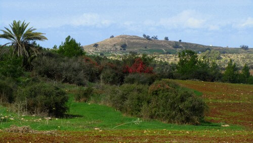 תמונה של אודות חוות בית ניר
