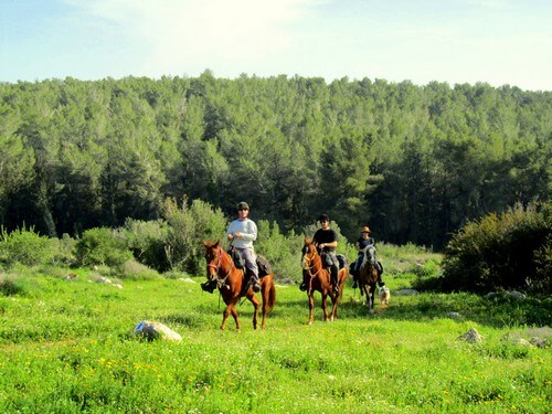 תמונה של אודות חוות בית ניר תמונה של אודות חוות בית ניר
