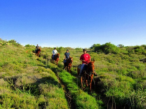 תמונה שצולמה בחוות בית ניר - 1 תמונה של חוות בית ניר - 1