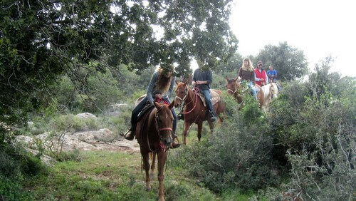 תמונה של אודות חוות בית ניר